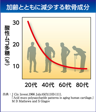 加齢とともに減少する軟骨成分